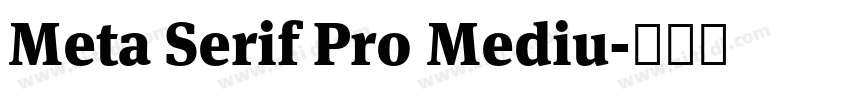Meta Serif Pro Mediu字体转换